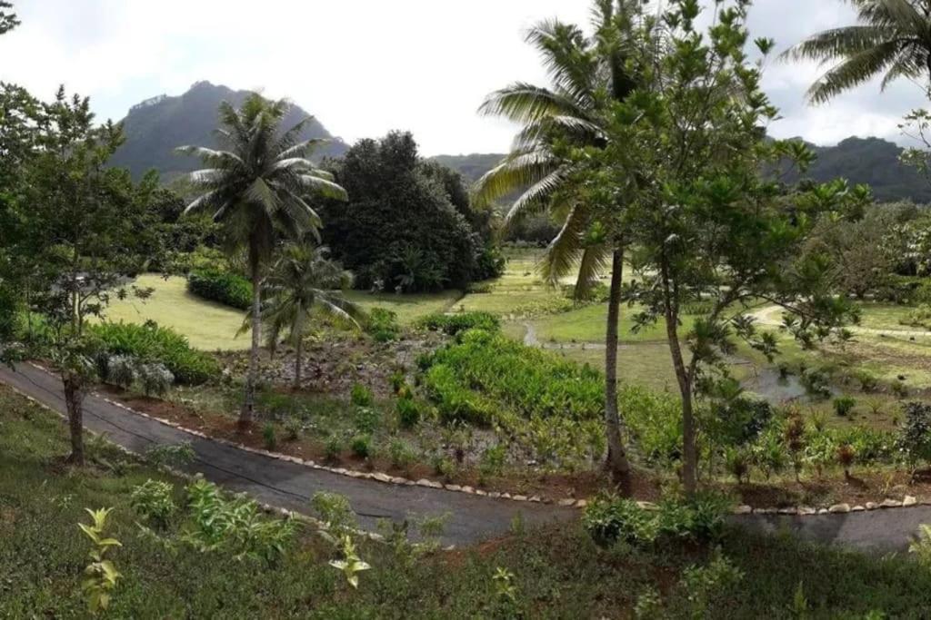 Duplex En Bord De Mer Fare Tahitea Pension Taputapuapea Ngoại thất bức ảnh