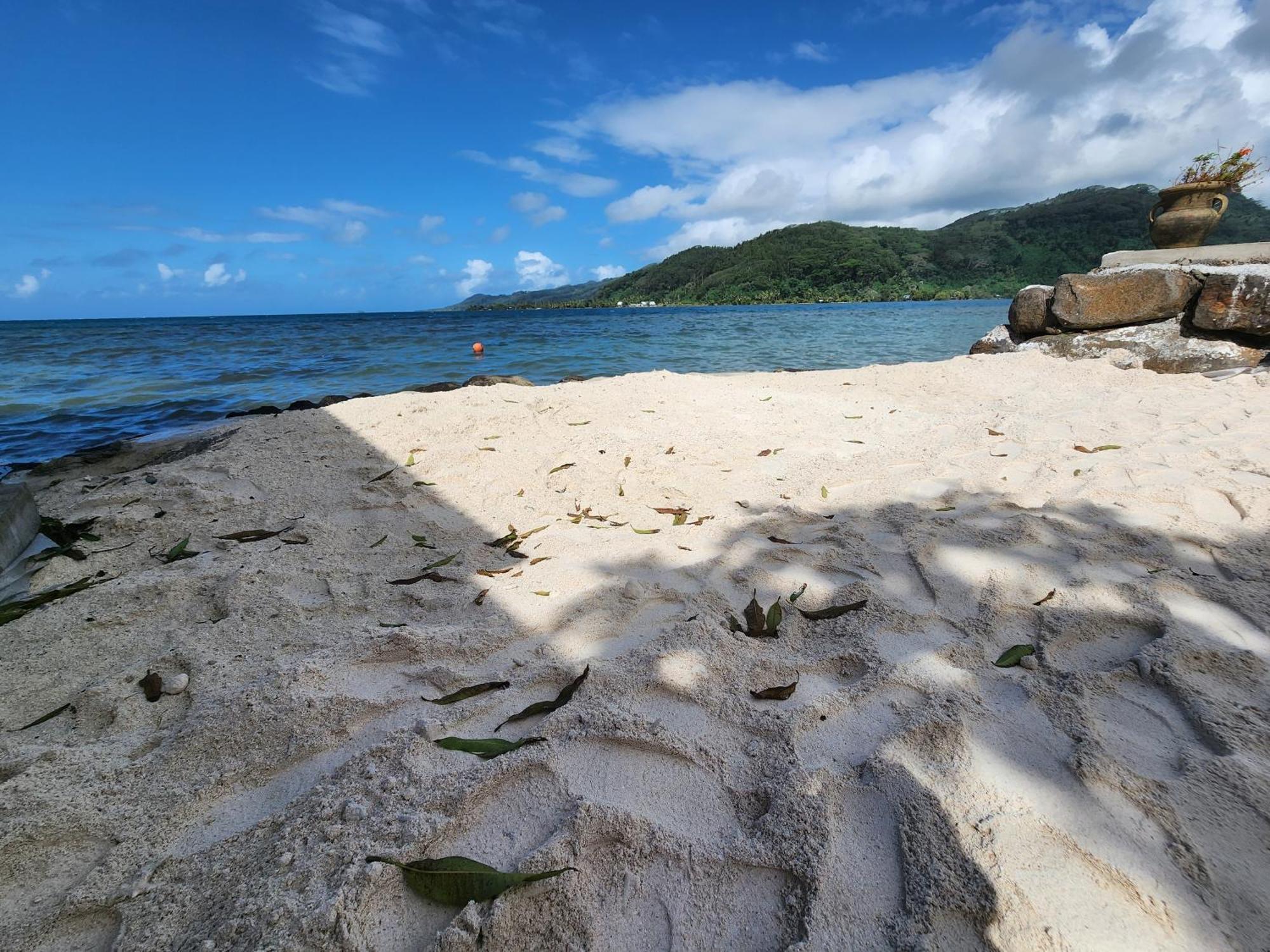 Duplex En Bord De Mer Fare Tahitea Pension Taputapuapea Ngoại thất bức ảnh